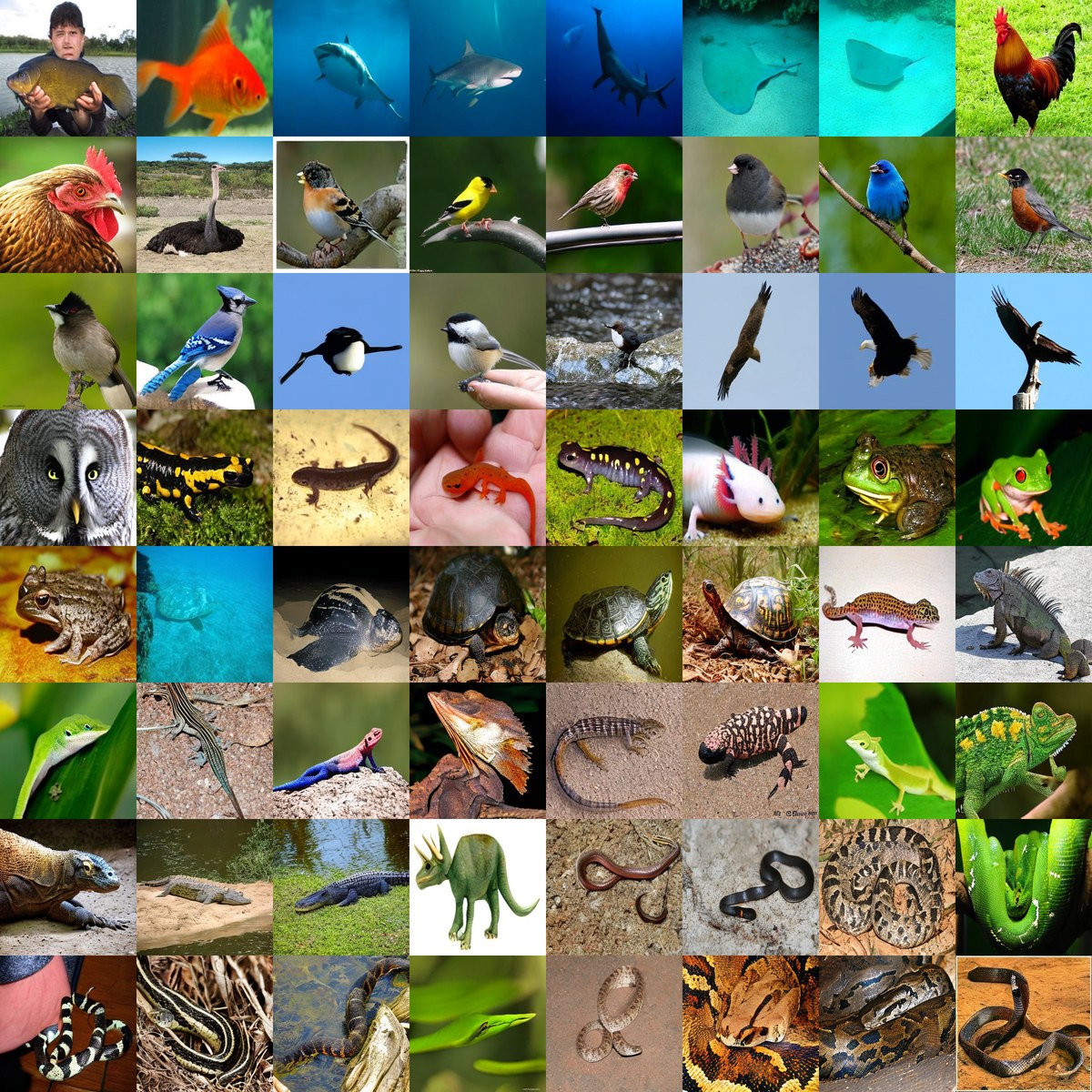 ImageNet H1024 DiT samples